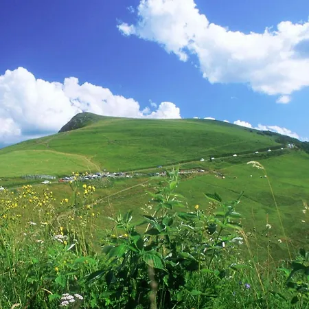 Charming Cocoon Pool And Jacuzzi