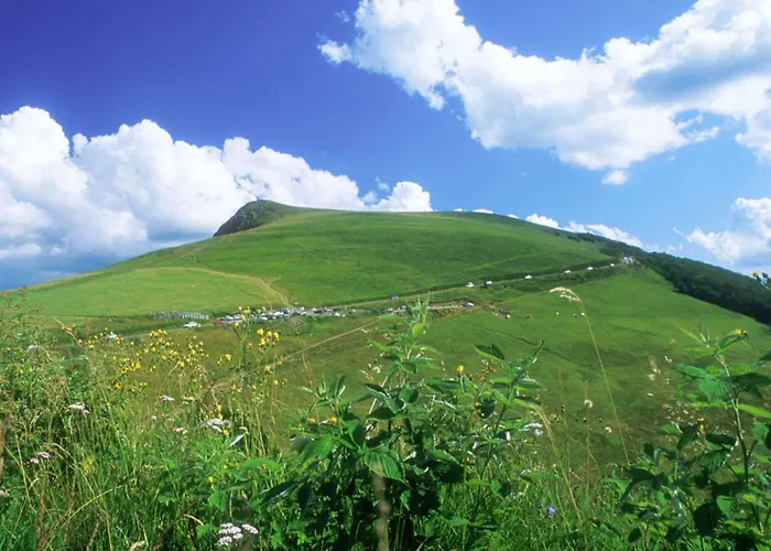 Charming Cocoon Pool And Jacuzzi